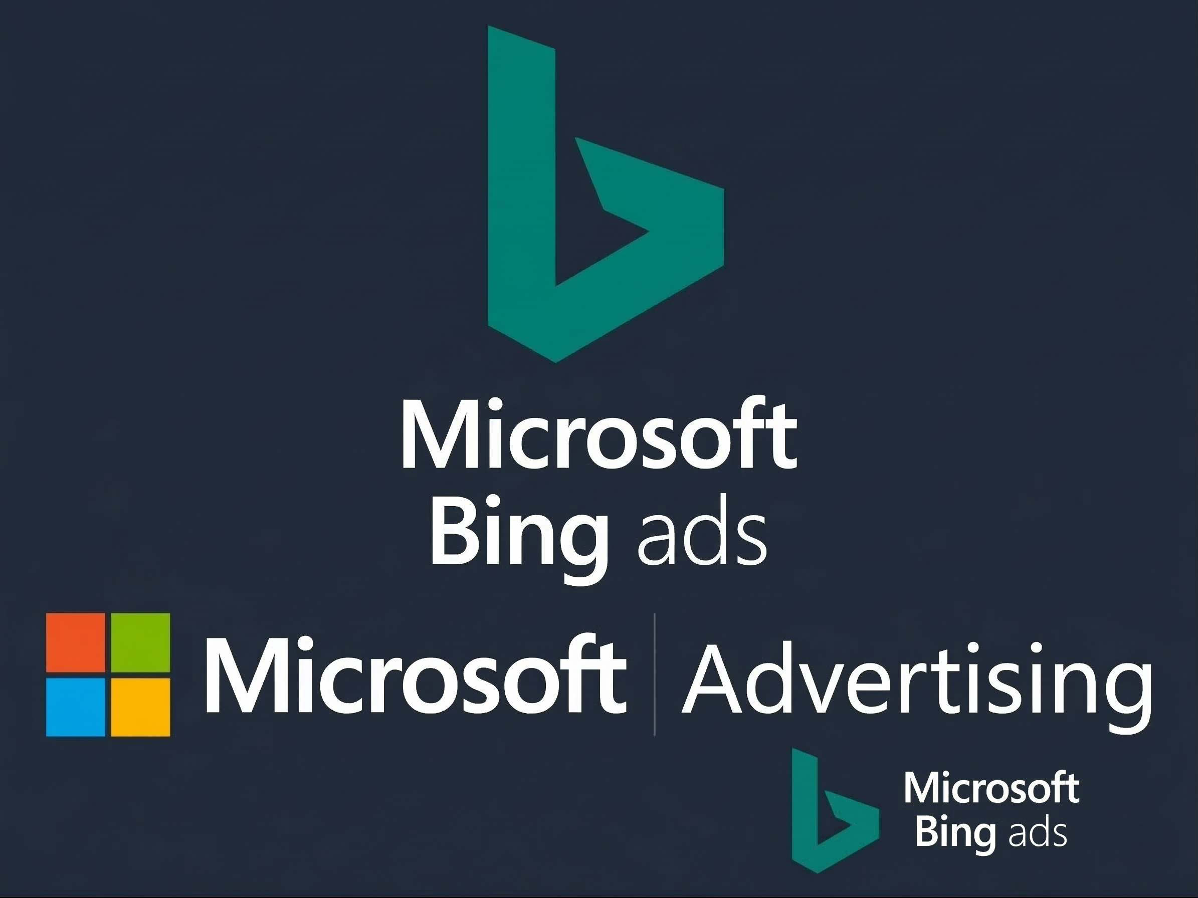 Bing Ads Partner