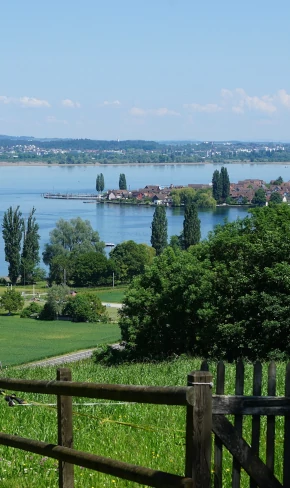 SEO Agentur amriswil SEO und SEM Agentur. SEO Agentur in amriswil
